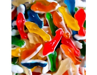 DRAGON COLOURED SHARKS
