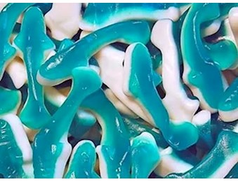 DRAGON GUMMY BLUE SHARKS 