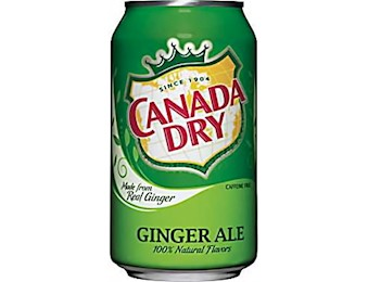 CANADA DRY GINGER ALE 355ML