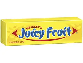 JUICY FRUIT SINGLE GUM 14G