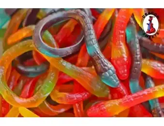 DRAGON KILLER PAYTHONS