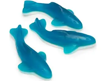 NOW BLUE&WHITE BIG SHARK (145)