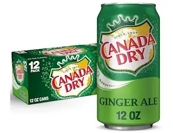 CANADA DRY CANS 355ML X12 USA
